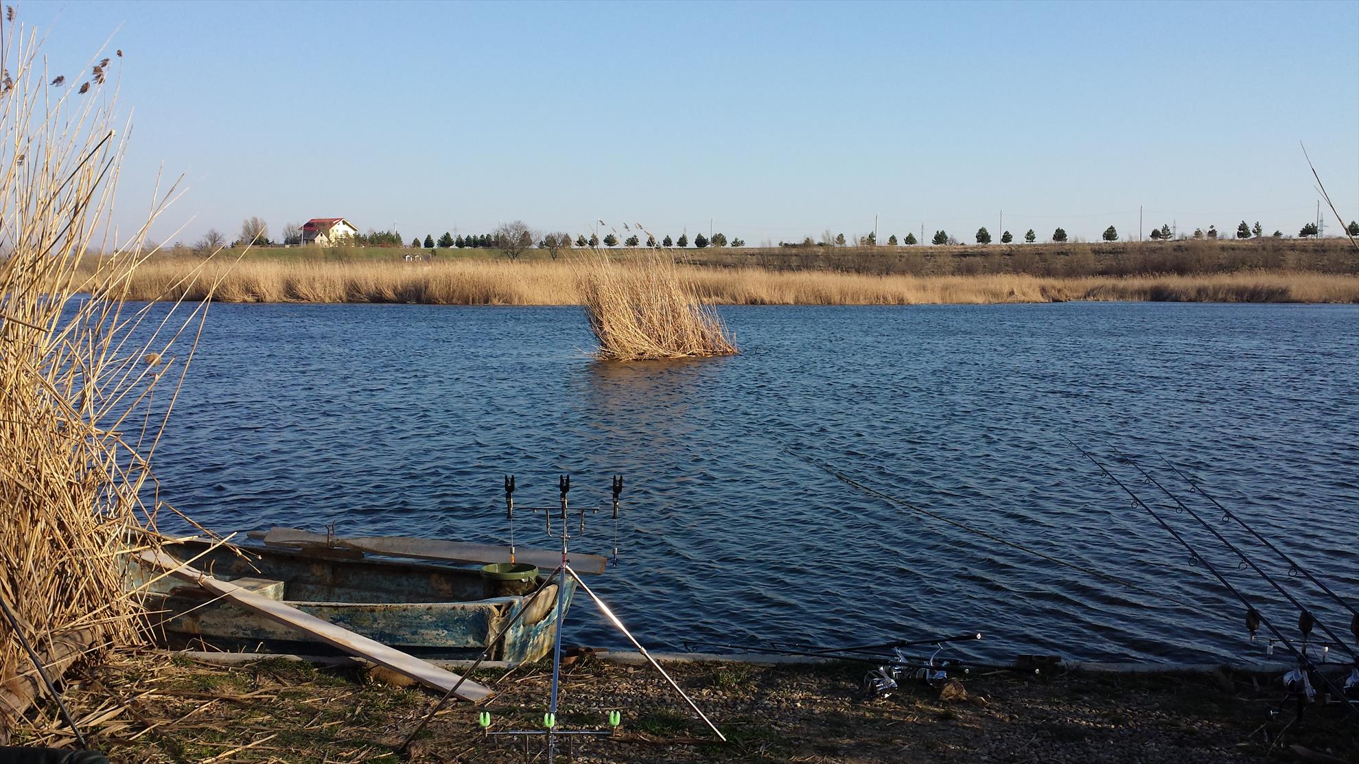 Tancabesti 14 - 16 mar. - 2014-03-15-1636061.jpg